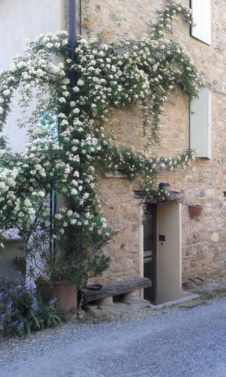 Agriturismo Il Gelso Traversetolo Luaran gambar