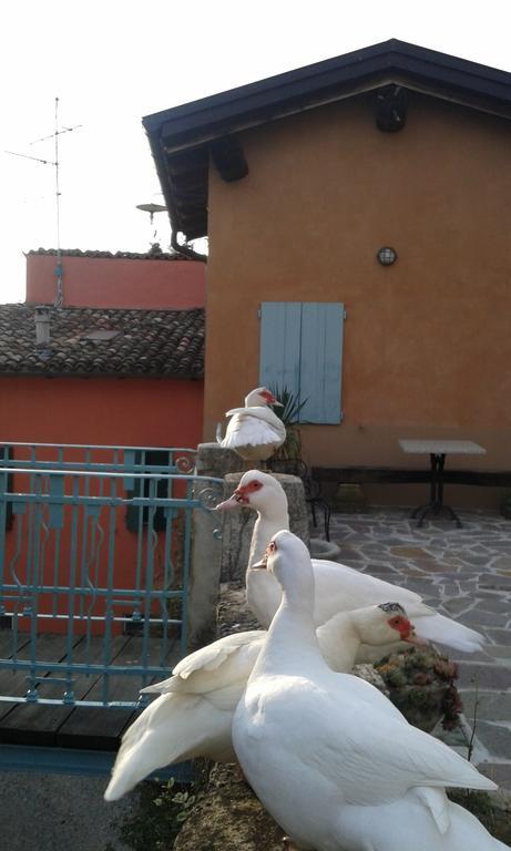 Agriturismo Il Gelso Traversetolo Luaran gambar