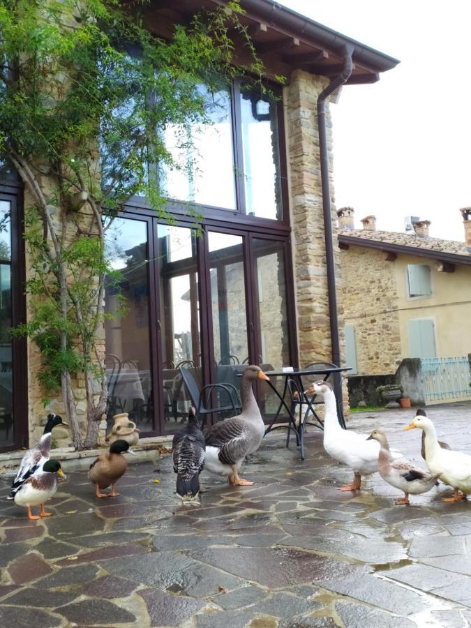 Agriturismo Il Gelso Traversetolo Luaran gambar